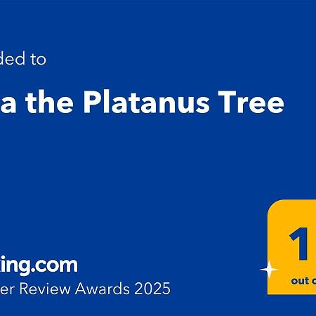 Villa The Platanus Tree Kato Vasiliki Exterior foto