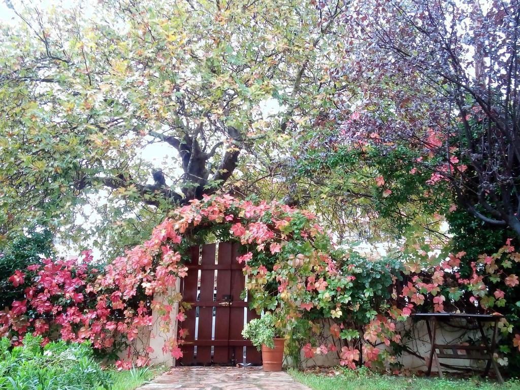 Villa The Platanus Tree Kato Vasiliki Exterior foto