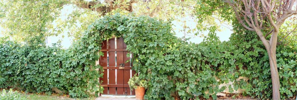 Villa The Platanus Tree Kato Vasiliki Exterior foto