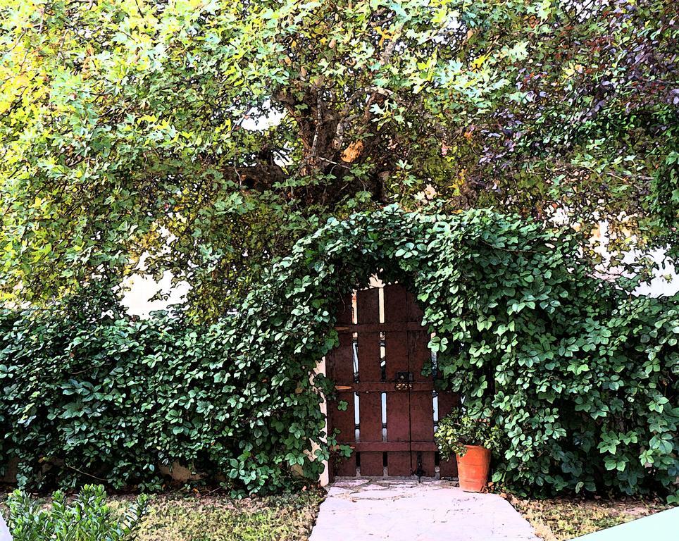 Villa The Platanus Tree Kato Vasiliki Exterior foto