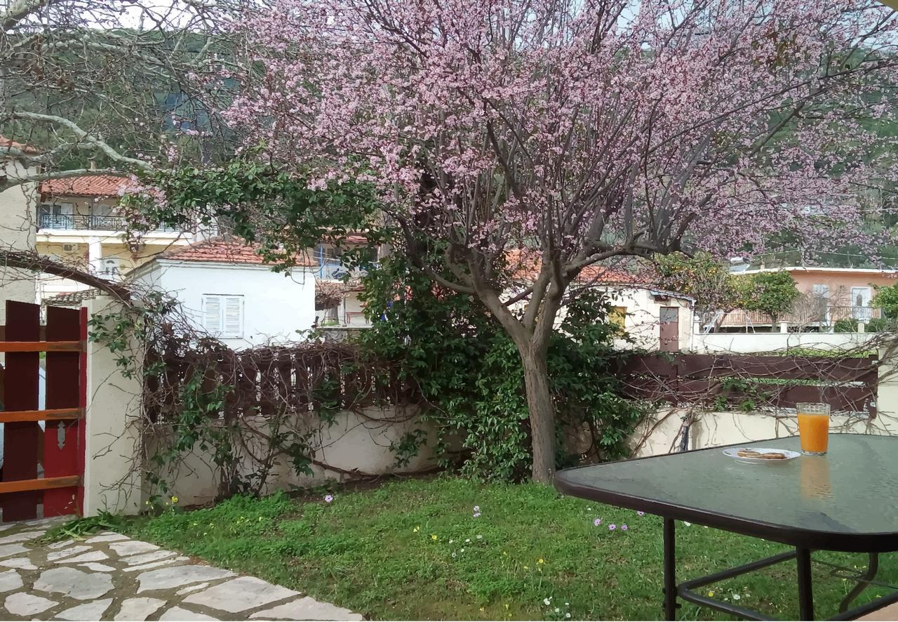 Villa The Platanus Tree Kato Vasiliki Exterior foto