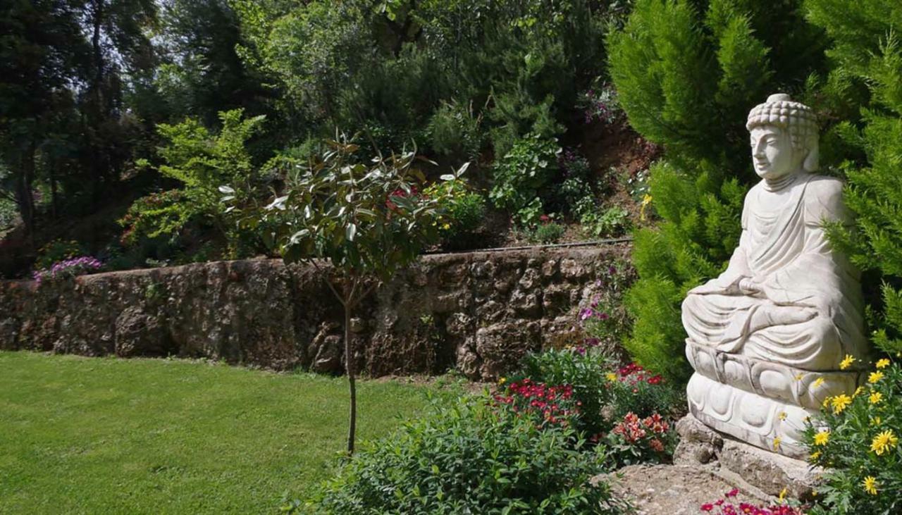 Villa The Platanus Tree Kato Vasiliki Exterior foto